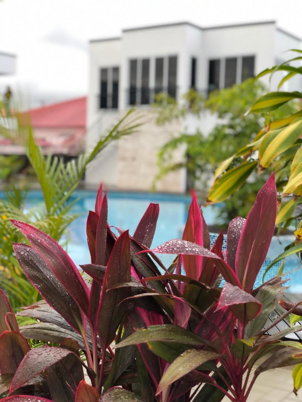 Tucan Resort & Spa 帕拉马里博 外观 照片